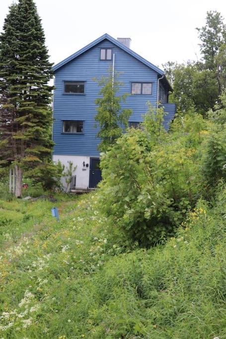 Vila Cozy Family House Tromsø Exteriér fotografie